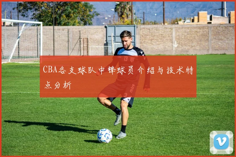 CBA各支球队中锋球员介绍与技术特点分析